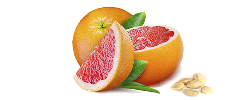 grapfruit-mag-kivonat-fitotree Viszlát paraziták, vírusok, gombák és baktériumok! Immunrendszer 