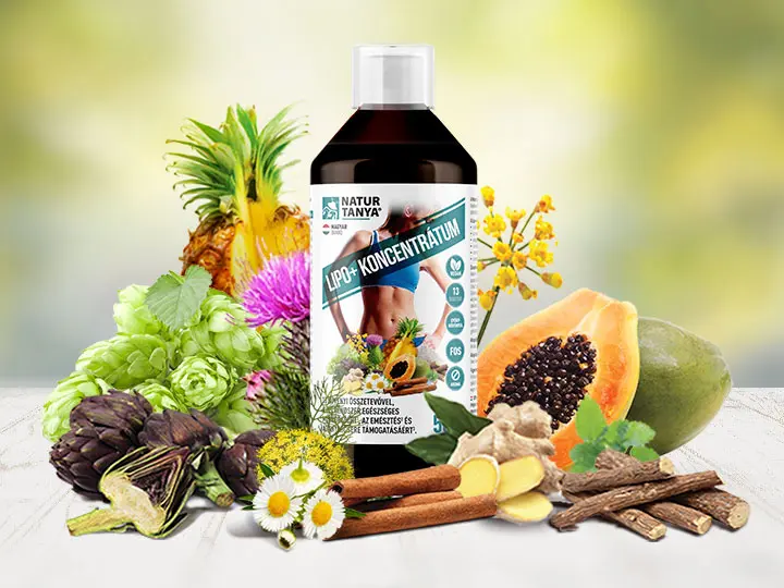 hasi-zsir-eltuntetese-lipo Hasi zsír eltüntetése Testsúlycsökkentés 