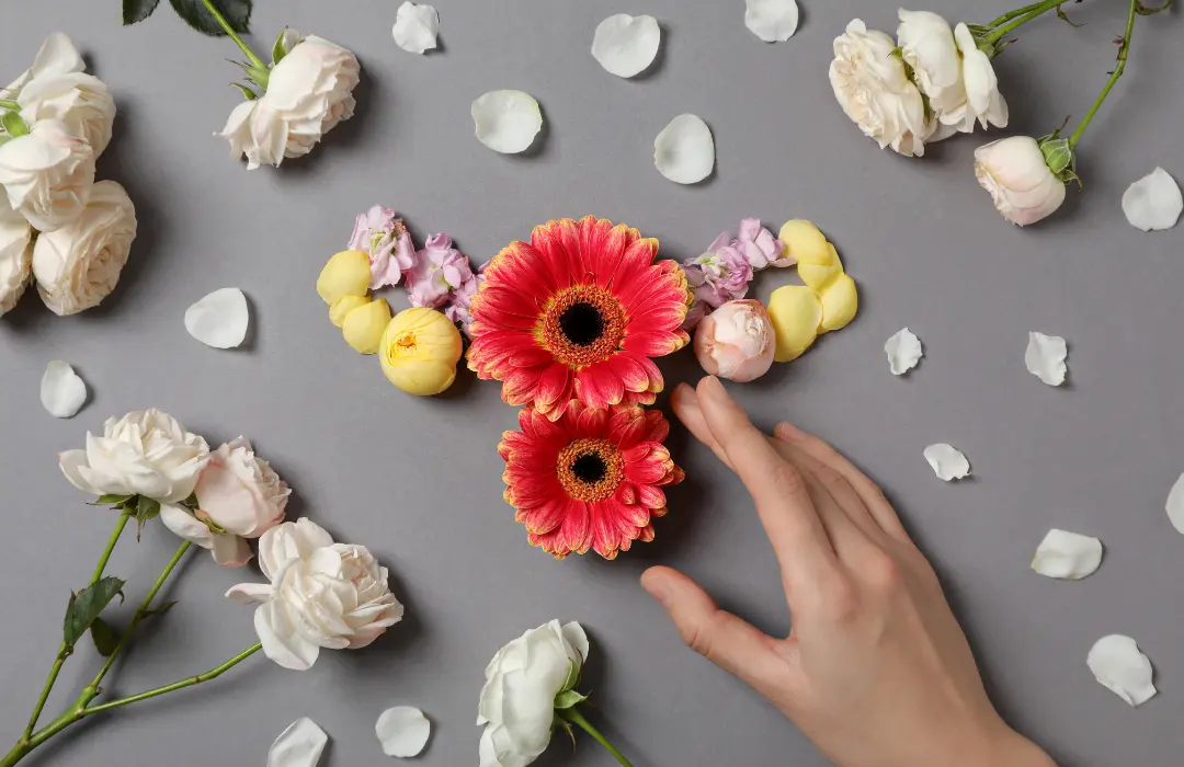 hormonok20es20menopauza Fűrészpálma olaj és a menopauza Hormontámogatás 