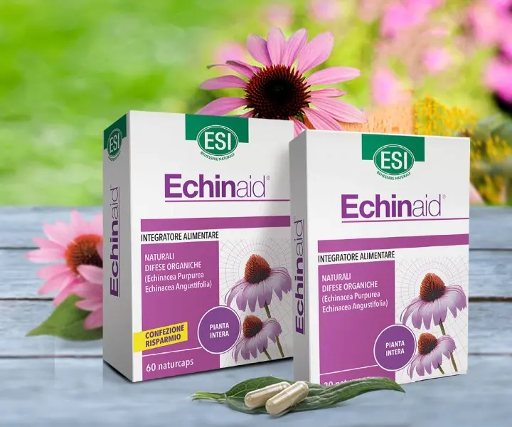 immunerosites-echinacea-kapszula Az immunerősítés 9 természetes tápanyaga Immunrendszer 