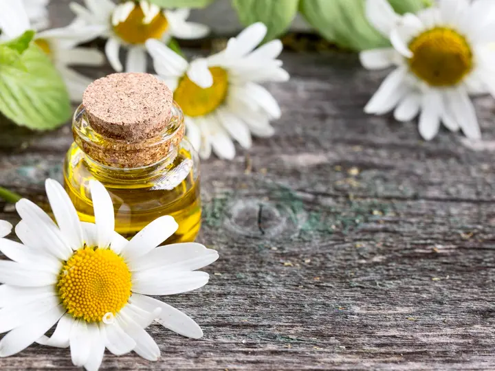 kamilla Tippek a tavaszi allergia tüneteinek enyhítésére Szupertápanyagok 