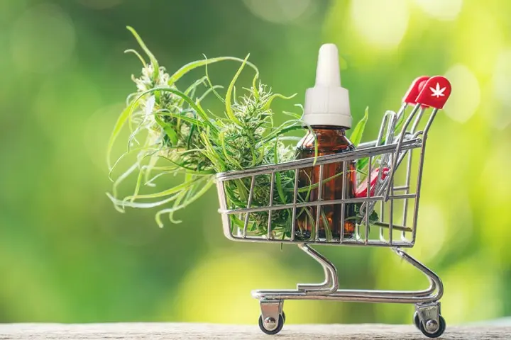 kender-kisokos Kender kisokos Szupertápanyagok 