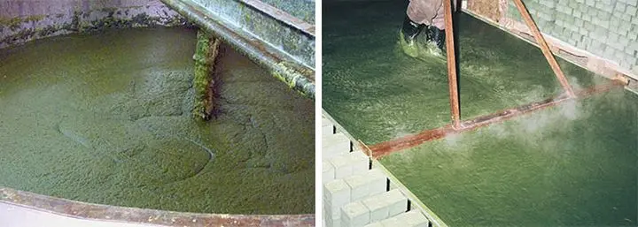 kezzel-keszult-oliva-szinszappan-bio Itt vannak a lúgmentes színszappanok! Szépség 