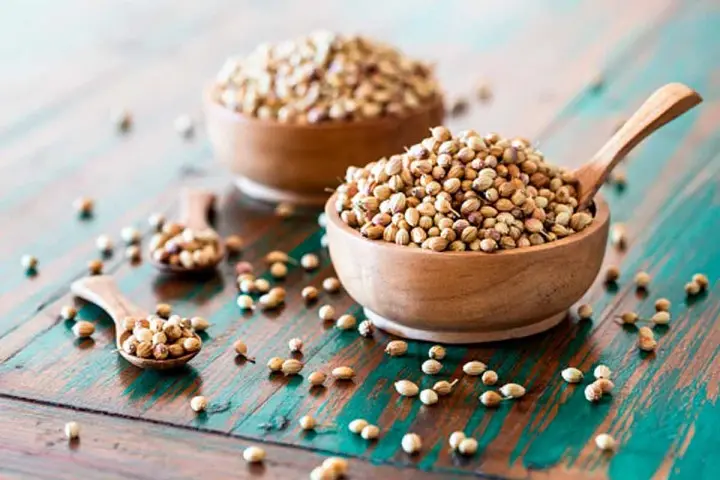 koriander Hangolódj az ünnepekre 8 nagyon karácsonyi fűszerrel! Szupertápanyagok 