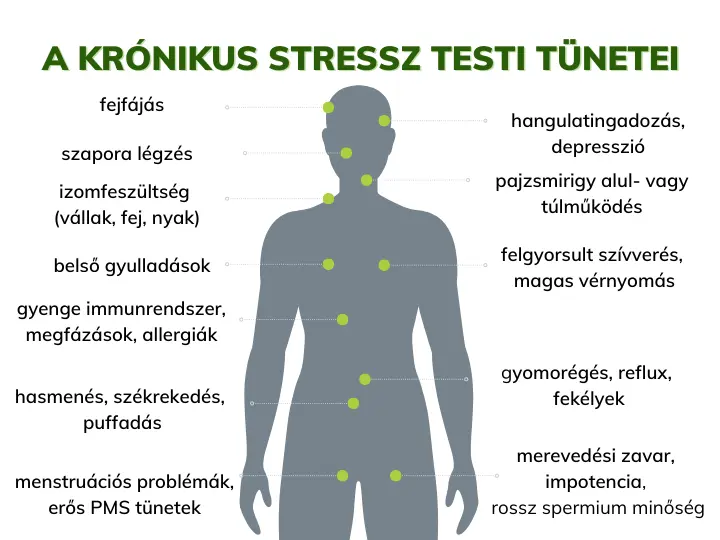 kronikus-stressz-testi-tunetei Így teszi tönkre a stressz a szervezetünket! Mentális egészség 