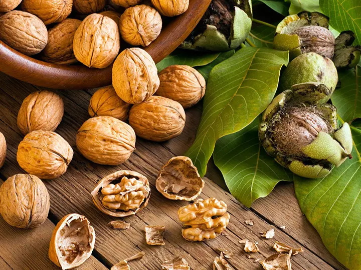 kulsoleg-belsoleg-natur-tanya-premium-dioolaj-dio-diobel A dióolaj legfontosabb hatásai belsőleg és külsőleg Emésztés 