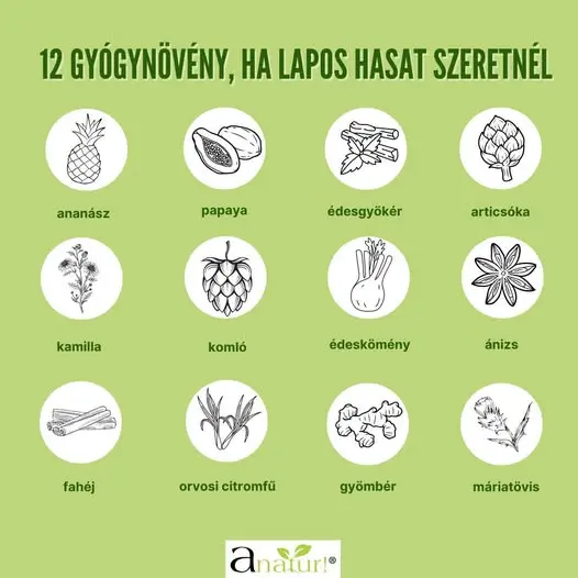 lapos20has20infografika Lapos has – több mint esztétika Testsúlycsökkentés 