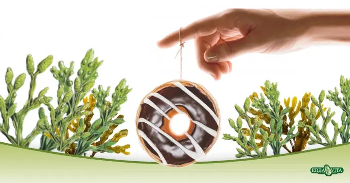 lassu-anyagcsere-barna-alga-holyagmoszat Barna alga, egyszerű és hatásos segítség lassú anyagcsere ellen Testsúlycsökkentés 