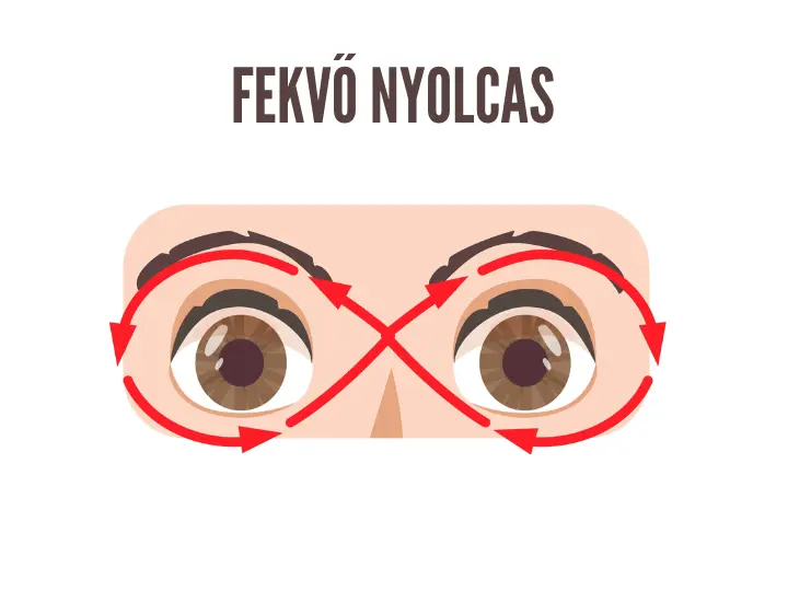 latasjavito-szemtorna-gyakorlatok-fekvo-nyolcas Szemtorna - tornáztasd meg a szemeid! Fáradtság. kimerültség 