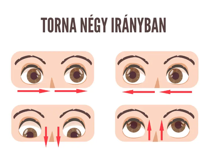 latasjavito-szemtorna-gyakorlatok-torna-negy-iranyban Szemtorna - tornáztasd meg a szemeid! Fáradtság. kimerültség 