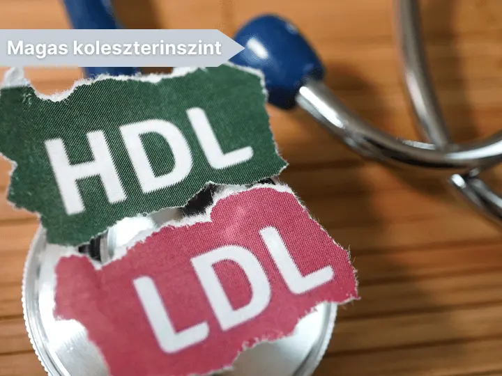legfobb-civilizacios-betegsegek-magas-koleszterinszint Te tudod mik azok a civilizációs betegségek? Immunrendszer 