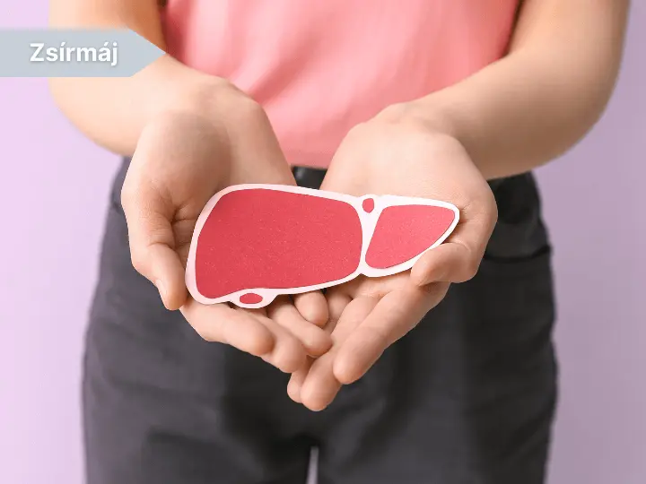 legfobb-civilizacios-betegsegek-zsirmaj Te tudod mik azok a civilizációs betegségek? Immunrendszer 