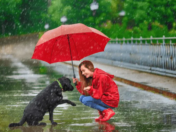 legjobb-immunerosito-tapanyag-oszi-fertozes-ellen Így készülj fel az őszi vírusfertőzések ellen! Immunrendszer 