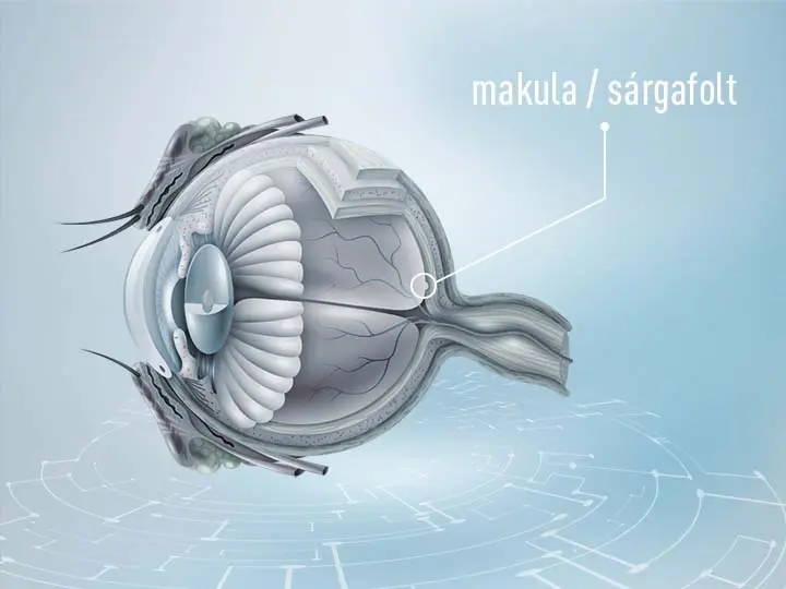 lutein-pro-8-legfontosabb-szemvitamin-blog-kep-720x540px-no2 A 8 legfontosabb szemvitamin Szupertápanyagok 