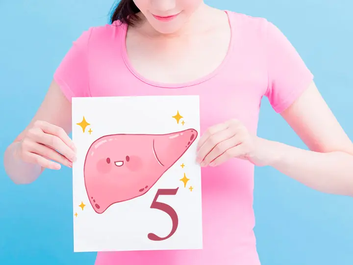 maj-egeszseg-tanacs-gyogynoveny-etkezes A 4 legjobb májtisztító, májméregtelenítő gyógynövény Méregtelenítés 