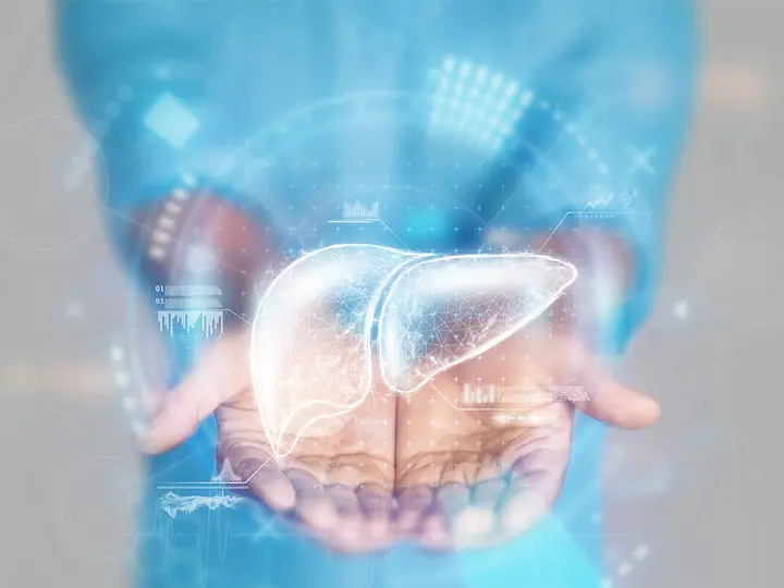 majmeregtelenito-hepa-detox-gyogynoveny 9 ok a májméregtelenítés mellett Méregtelenítés 