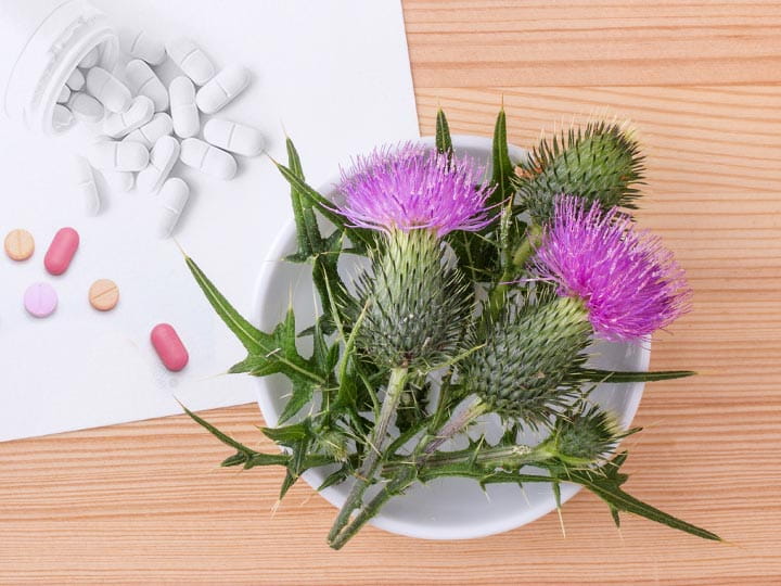 mariatovis-mereganyag-majvedo-majmeregtelenites-gyogynoveny-articsoka Melyik a jobb májvédő - Articsóka vs. Máriatövis? Emésztés 