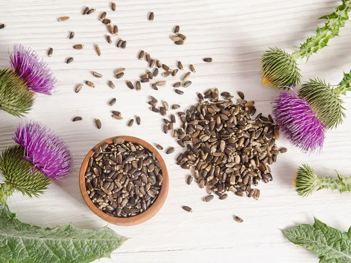 mariatovismag-liszt-konyhaban 6 érv a máj - és epevédő máriatövismag-liszt mellett Emésztés 