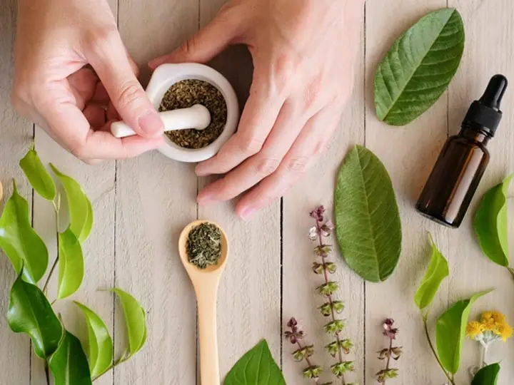 meregtelenito-gyogynoveny-meregtelenites-tisztit-vese-maj-hatekony A 7 leghatékonyabb gyógynövény tavaszi méregtelenítéshez Méregtelenítés 