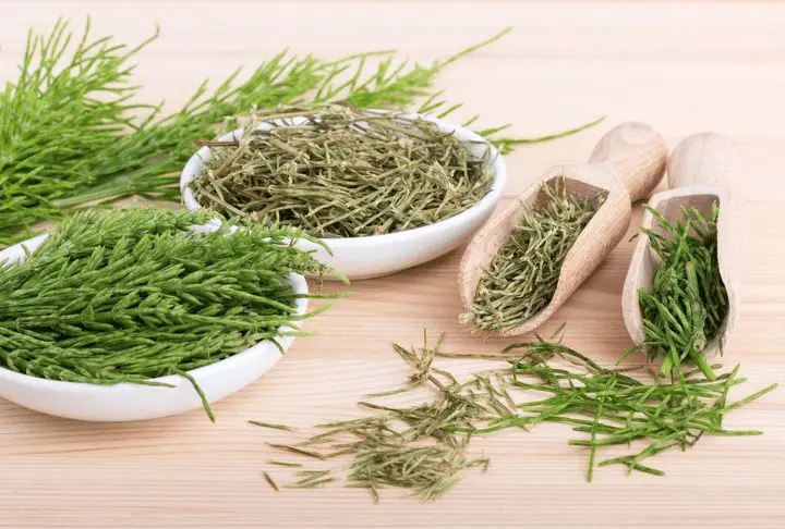 mezei-zsurlo Mire jó a mezei zsurló és a benne található szilícium? Szépség 