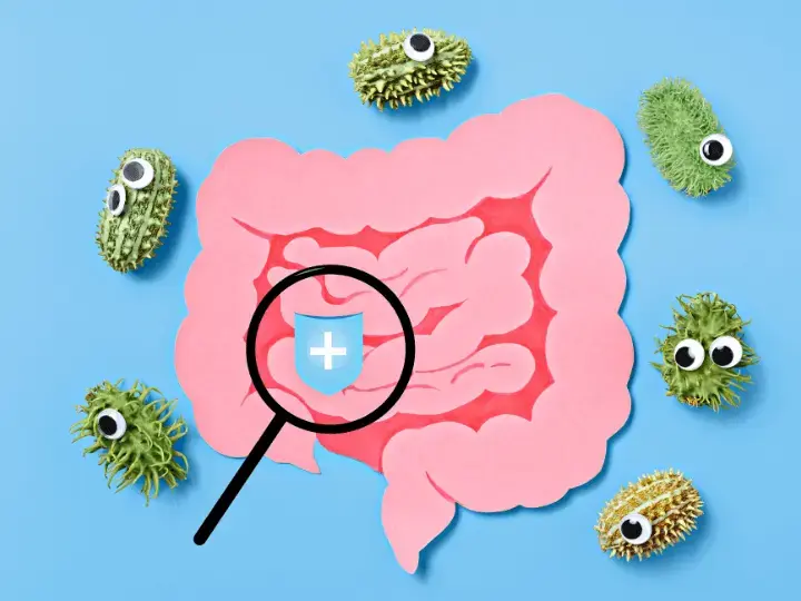 mi-az-a-mikrobiom201 Bélmikrobiom táplálása és karbantartása vitaminokkal Emésztés 