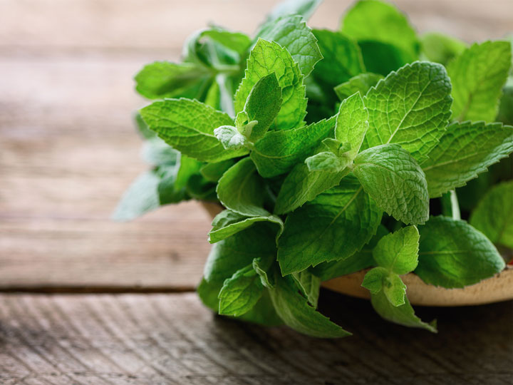 mikronizalt-citromfu-rozmaringsav-7-ok 7 ok a citromfű mellett Szupertápanyagok 