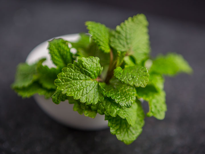 mikronizalt-citromfu-rozmaringsav-szorongas-stressz 7 ok a citromfű mellett Szupertápanyagok 