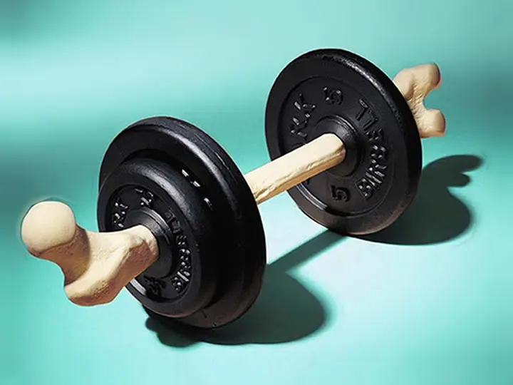 mire-jo-szerves-zoldkagylo-izulet-gyulladas-porckopas-csontritkulas Mire használható az új-zélandi zöldkagyló? Szupertápanyagok 