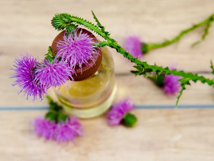 natur-tanya-mariatovismag-olaj-olaj Újévi fogadalom – miért nehéz betartani, és hogyan sikerülhet neked mégis? Immunrendszer 