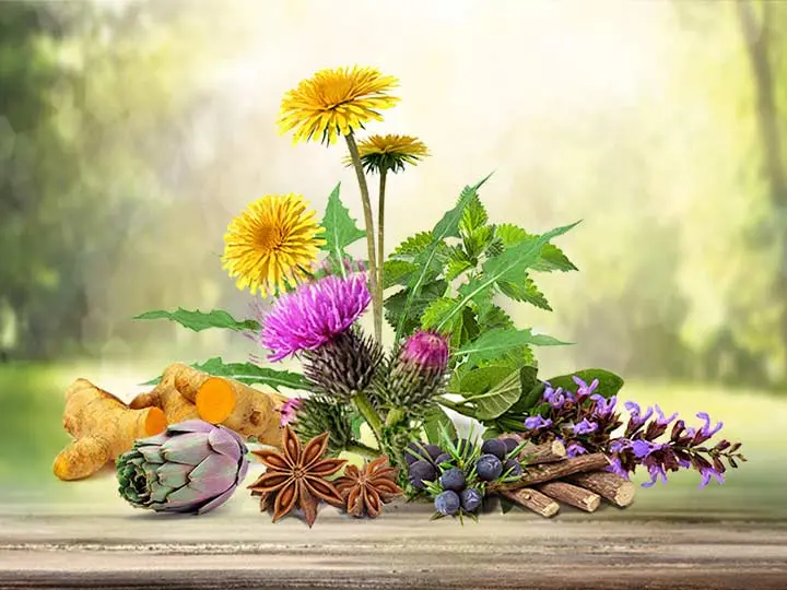 natur-tanya-puridren-tisztito-program-gyogynovenyek 60 napos tisztítókúra az egészséged és szépséged javára! Méregtelenítés 