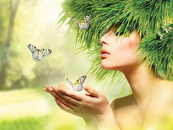 natur-tanya-puridren-tisztito-program-osszetevoi-hatasai 60 napos tisztítókúra az egészséged és szépséged javára! Méregtelenítés 