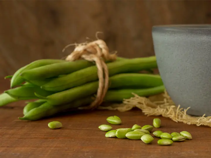 natur-tanya-vegan-gyomorbarat-rost-puffadas-bab Prebiotikus rostokkal a bélmikrobiom és az emésztés egészségéért Emésztés 