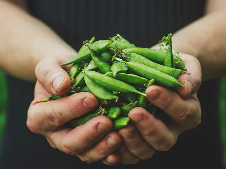 natur-tanya-vegan-gyomorbarat-rost-puffadas-kez Prebiotikus rostokkal a bélmikrobiom és az emésztés egészségéért Emésztés 