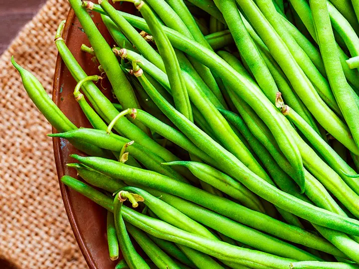 natur-tanya-vegan-gyomorbarat-rost-puffadas-kosar Prebiotikus rostokkal a bélmikrobiom és az emésztés egészségéért Emésztés 