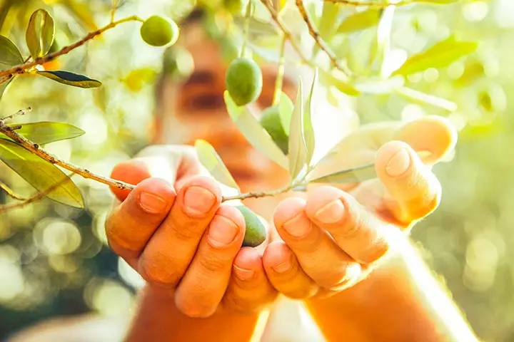 oliva-d3-vitamin-natur-tanya-4000ne-oliva Mi az a Quali®-D aktív D3-vitamin? Hormontámogatás 