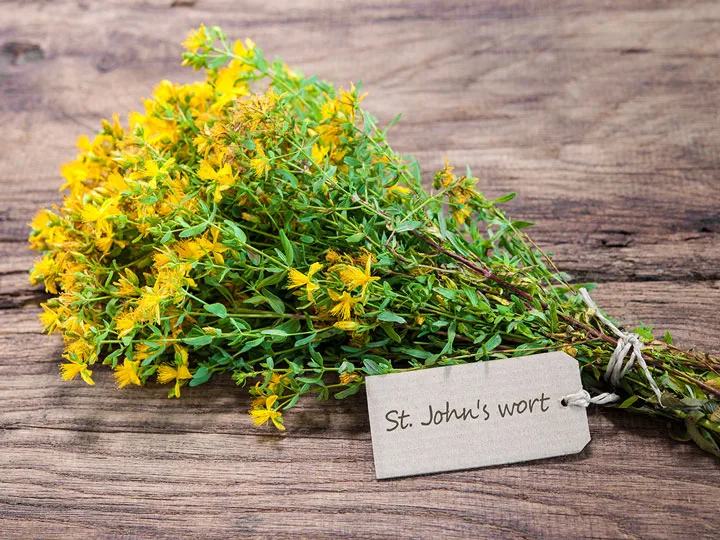 orbancfuves-holgyi-tea-ciszta-csokor Szerezd vissza a hormonális egyensúlyod gyógynövényekkel! Uncategorized 