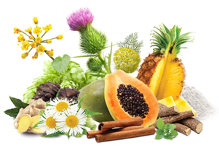 osszetevok Salaktalanítás: a belső nagytakarítás ideje Méregtelenítés 