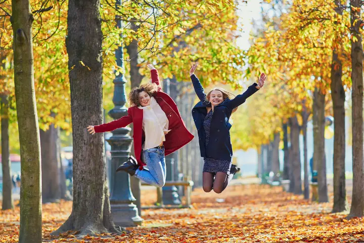 osz-meregtelenites-tisztit-salak-emesztes-immun-bel-maj 5 érv az őszi tisztítókúra mellett, az egyik az immunerősítés Méregtelenítés 