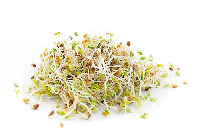 otthoni-csiraztatas-otthon Otthoni csíráztatás fortélyai 8 lépésben Szupertápanyagok 