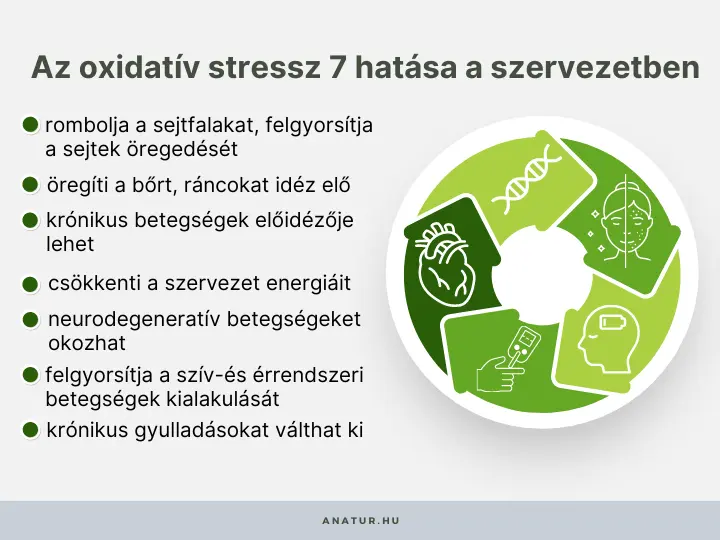 oxidativ-stressz-hatasai Így függ össze az oxidatív stressz és az öregedés! Szépség 