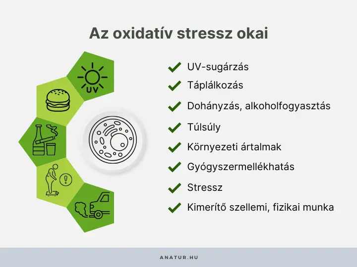 oxidativ-stressz-okai Így függ össze az oxidatív stressz és az öregedés! Szépség 