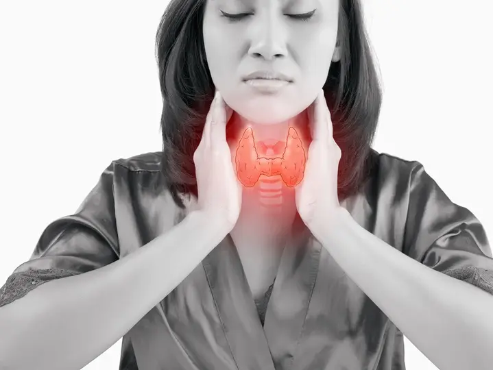 pajzsmirigy-1 A szelén hatása a pajzsmirigy működésére Szupertápanyagok 