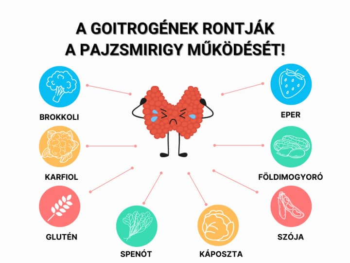 pajzsmirigy-alulmukodes-kezelese-dieta-goitrogenek Természetesen a pajzsmirigy-alulműködés ellen! Hormontámogatás 