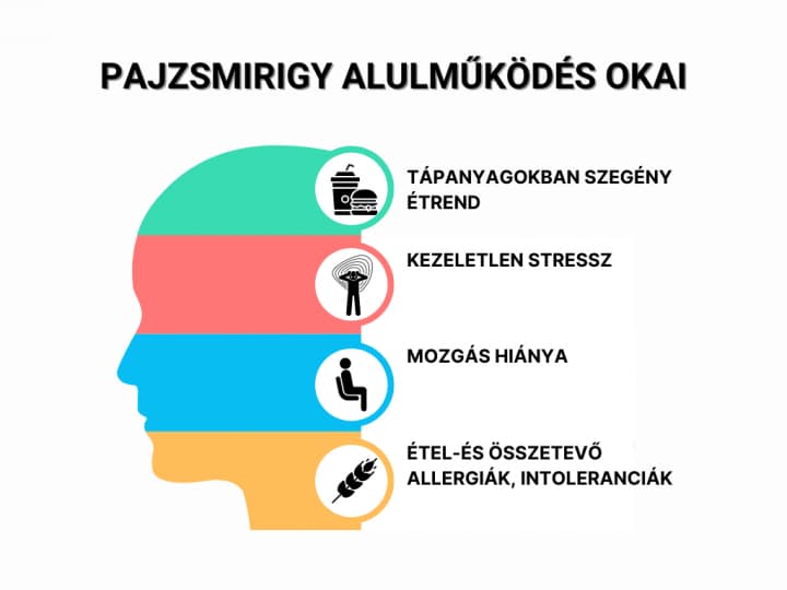 pajzsmirigy-alulmukodes-okai Természetesen a pajzsmirigy-alulműködés ellen! Hormontámogatás 