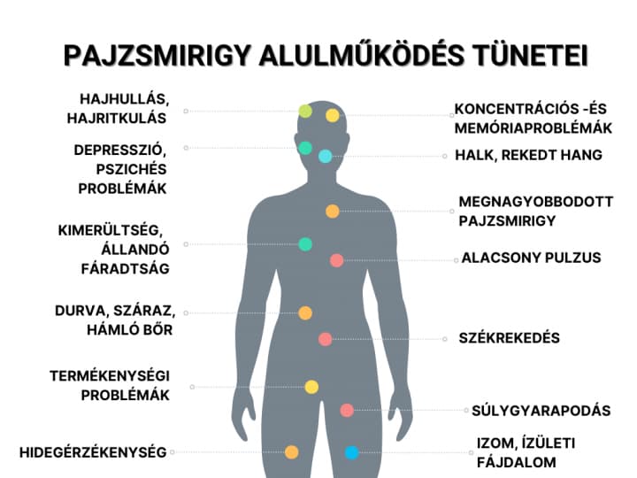 pajzsmirigy-alulmukodes-tunetei Természetesen a pajzsmirigy-alulműködés ellen! Hormontámogatás 