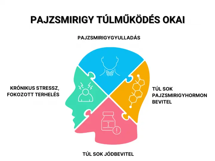 pajzsmirigy-tulmukodes-okai A pajzsmirigy túlműködés tünetei és a pajzsmirigy betegség kezelése Hormontámogatás 