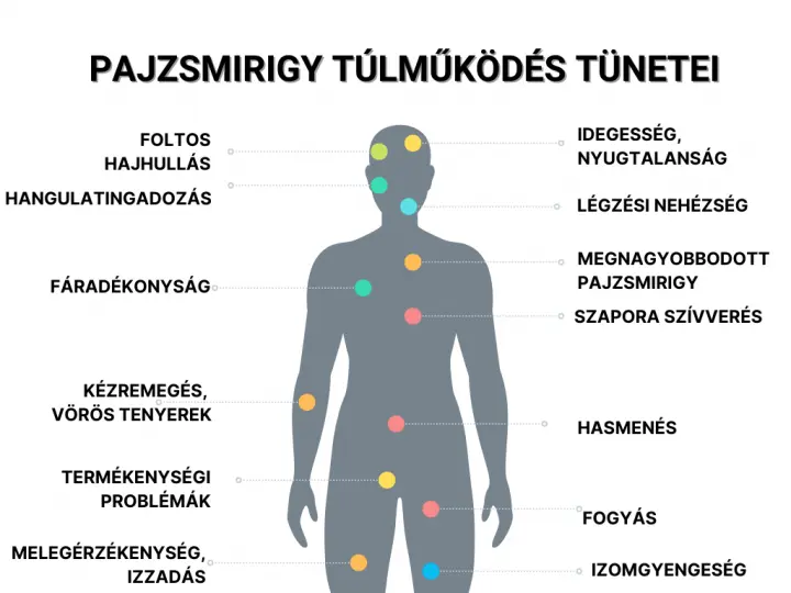 pajzsmirigy-tulmukodes-tunetei A pajzsmirigy túlműködés tünetei és a pajzsmirigy betegség kezelése Hormontámogatás 