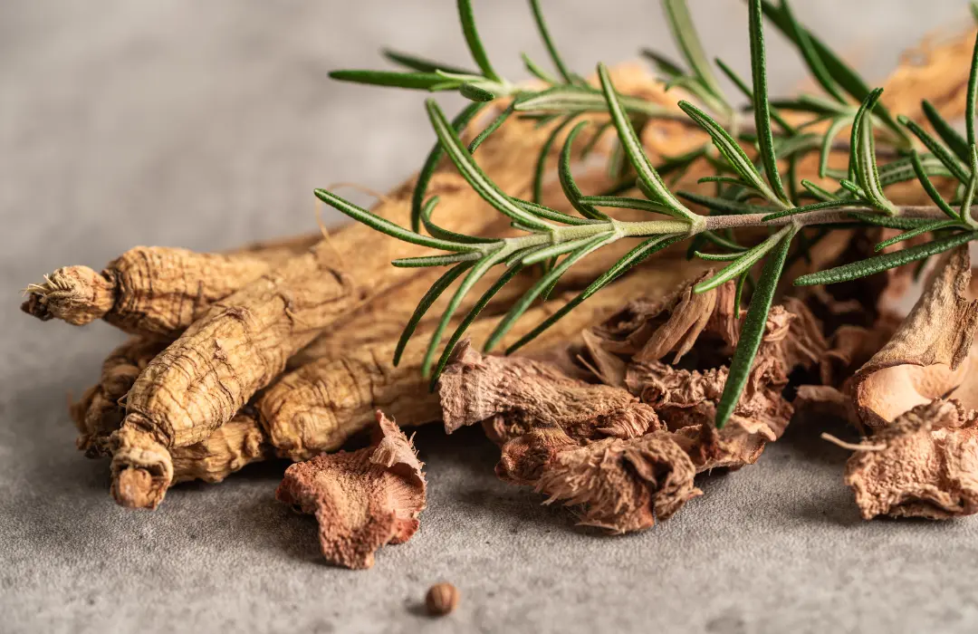 panax-ginzeng-ferfiaknak Panax ginzeng: A férfiak vitalitásának titka Fáradtság. kimerültség 