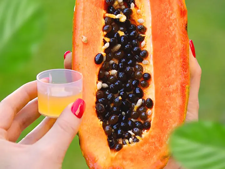 papaya-hatasa-gyulladas-szabadgyok 10 dolog, amire jó a fermentált papaya Emésztés 