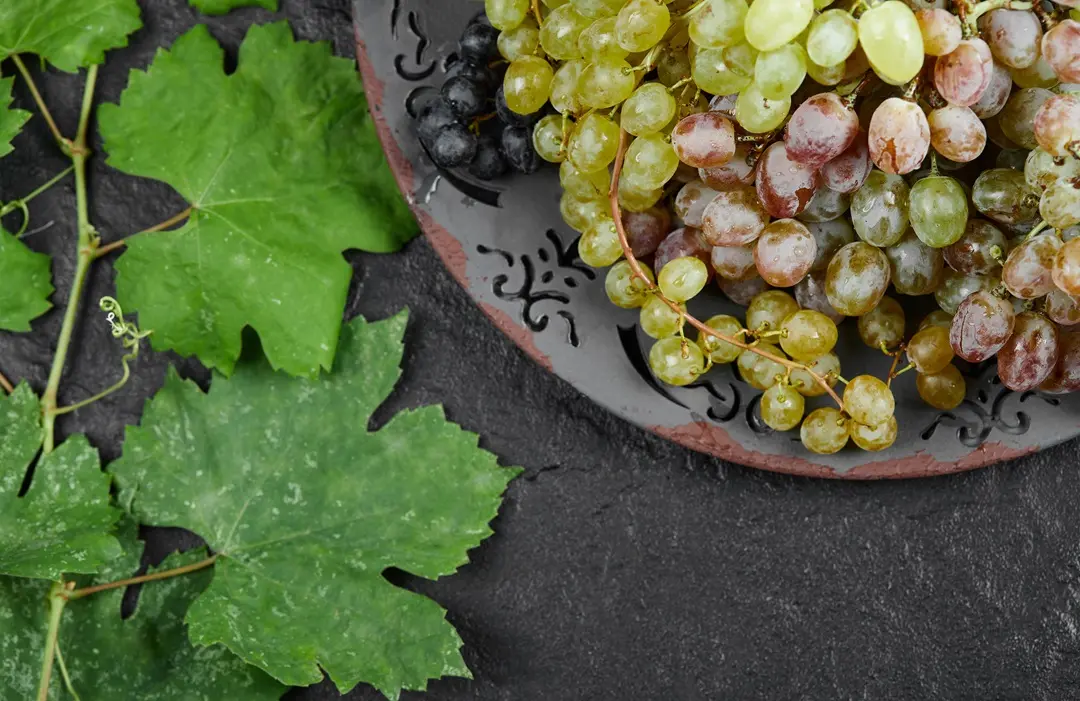 plate-mixed-grapes-with-leaves-dark-background-high-quality-photo Pihentető alvás, jobb közérzet Hormontámogatás 